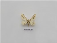 藏品(尺蛾225)的圖片